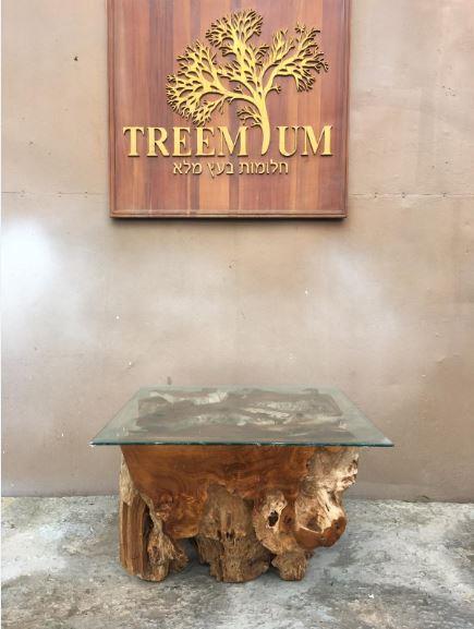 שולחן סלוני מעץ טיק - Treemium - חלומות בעץ מלא