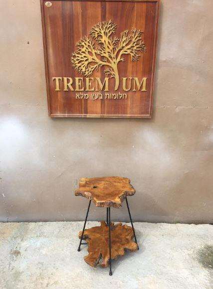 מעמד עציצים טיק - Treemium - חלומות בעץ מלא