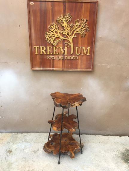 מעמד ייחודי 3 מדפים - Treemium - חלומות בעץ מלא