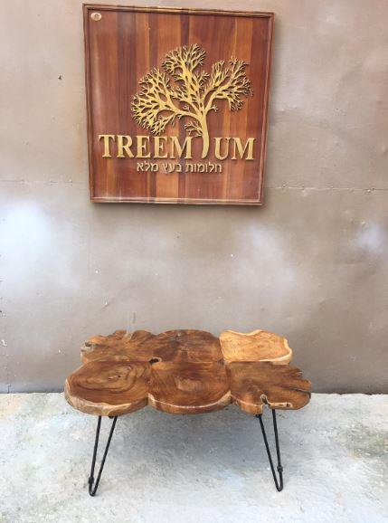 שולחן סלון פלחי טיק - Treemium - חלומות בעץ מלא