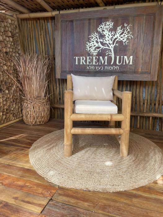 כורסא במבוק - Treemium - חלומות בעץ מלא