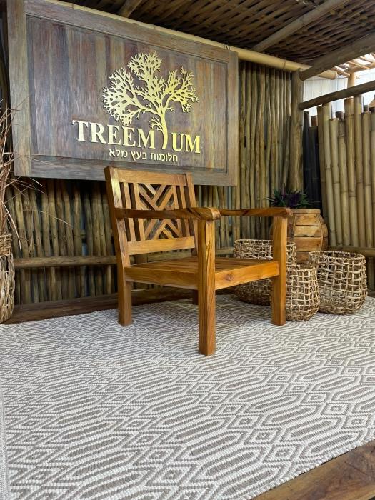 כורסא עץ טיק - Treemium - חלומות בעץ מלא
