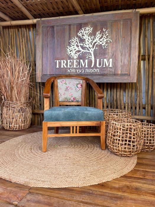 כורסא עץ מלא טיק - Treemium - חלומות בעץ מלא