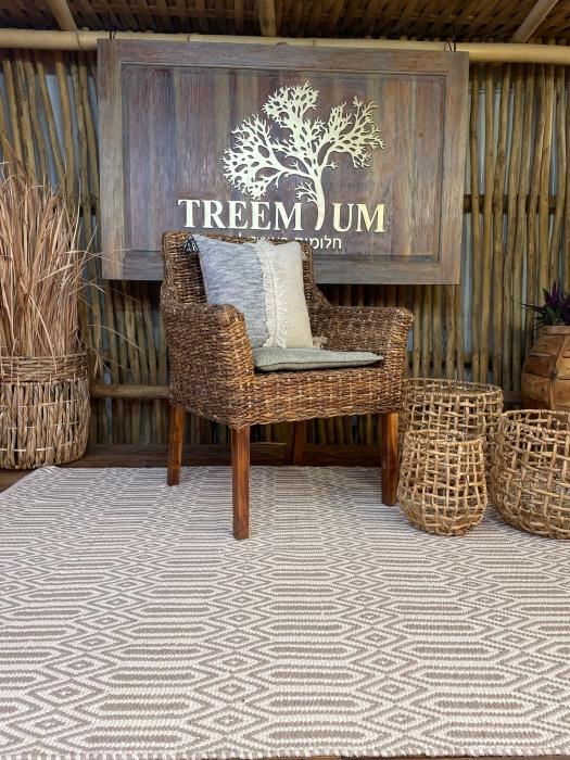 כורסא שלד טיק - Treemium - חלומות בעץ מלא