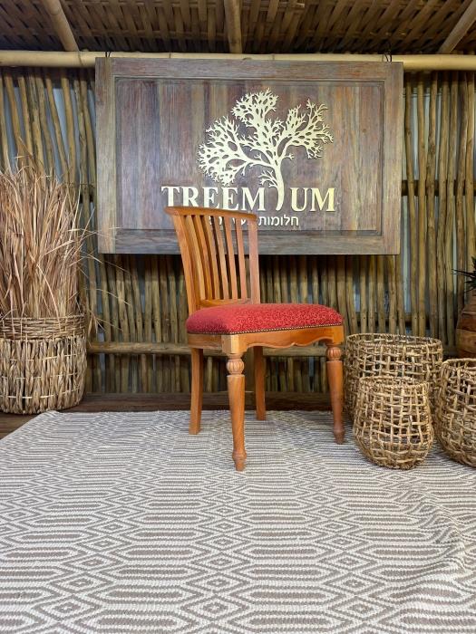 כיסא אוכל דגם ivy עץ מלא - Treemium - חלומות בעץ מלא