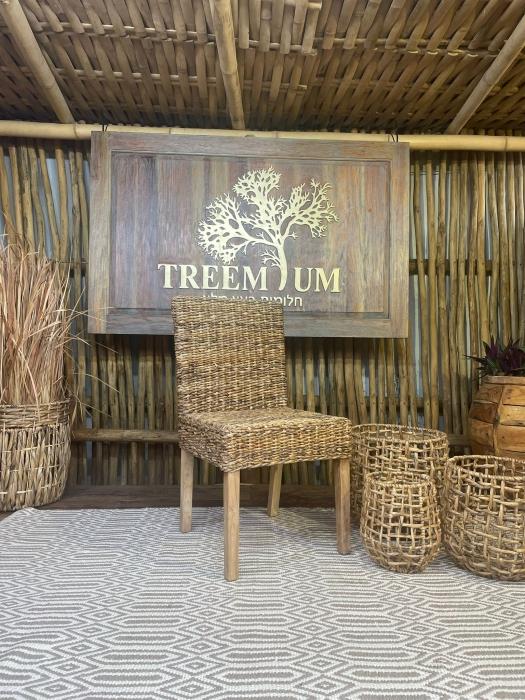 כיסא אוכל מבנה טיק - Treemium - חלומות בעץ מלא