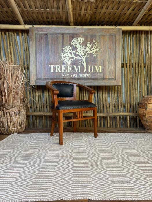 כיסא דגם ביטויי עץ מלא מהגוני - Treemium - חלומות בעץ מלא