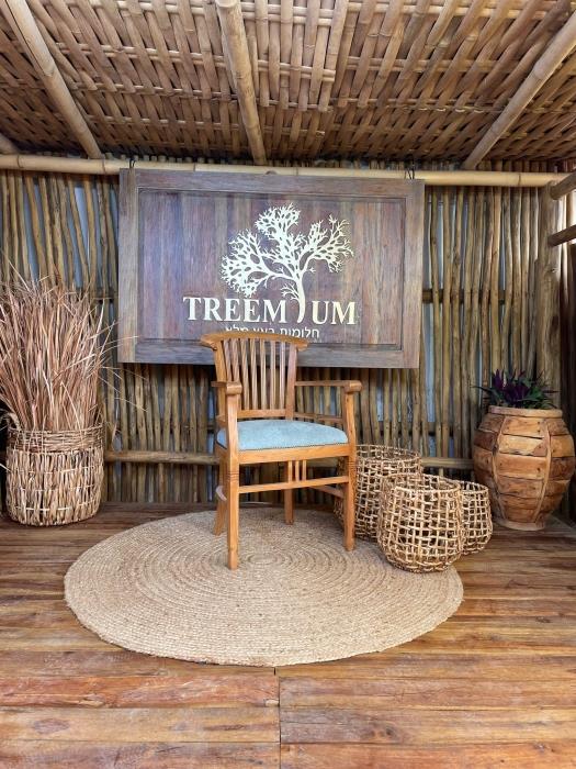 כיסא דגם רמסס עץ מלא טיק - Treemium - חלומות בעץ מלא