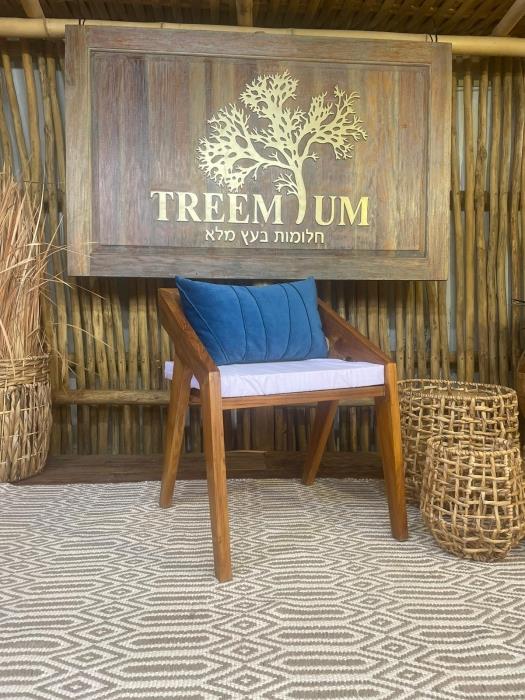 כיסא עץ מלא טיק - Treemium - חלומות בעץ מלא