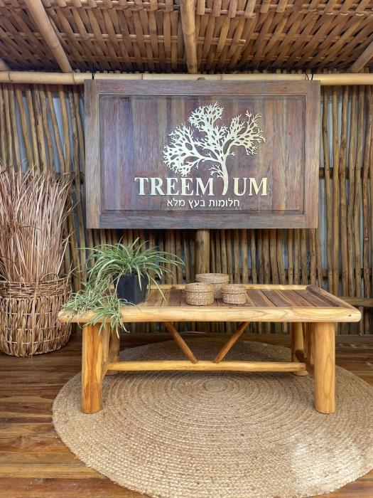שולחן טיק צעיר - Treemium - חלומות בעץ מלא