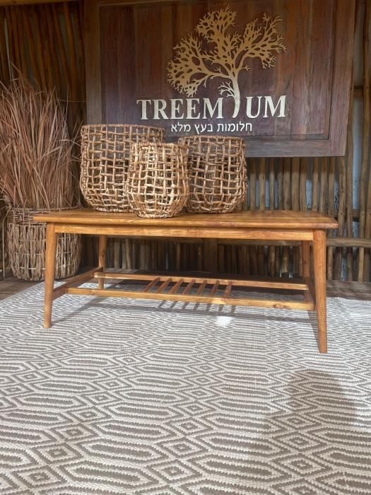 שולחן סלון עץ טיק - Treemium - חלומות בעץ מלא