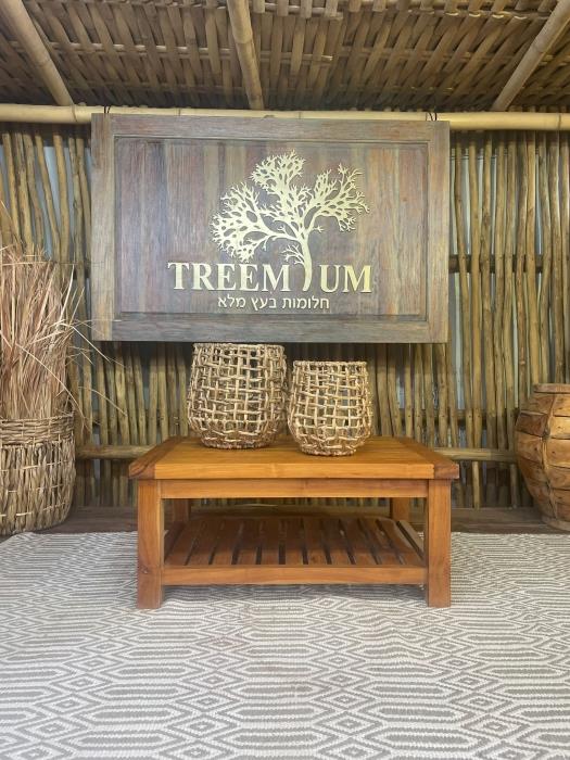 שולחן סלון עץ מלא טיק - Treemium - חלומות בעץ מלא