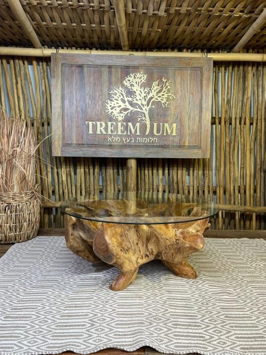 שולחן סלון שורש טיק - Treemium - חלומות בעץ מלא