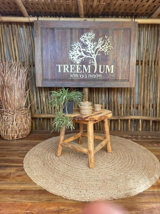 שולחן קפה טיק - Treemium - חלומות בעץ מלא
