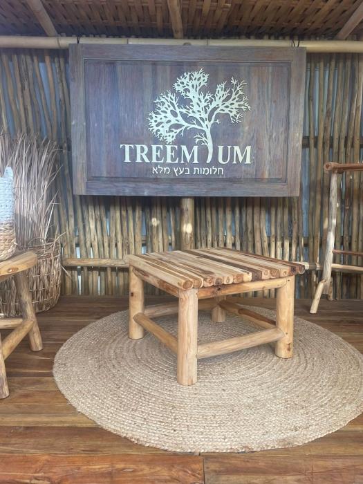 שולחן קפה טיק - Treemium - חלומות בעץ מלא