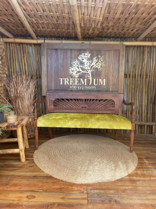 ספסל מרופד עץ מלא מהגוני - Treemium - חלומות בעץ מלא