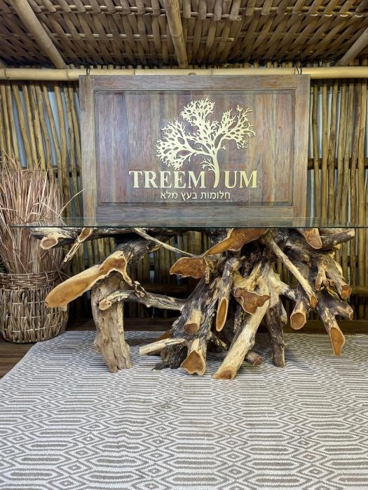 קונסולה שורש טיק - Treemium - חלומות בעץ מלא