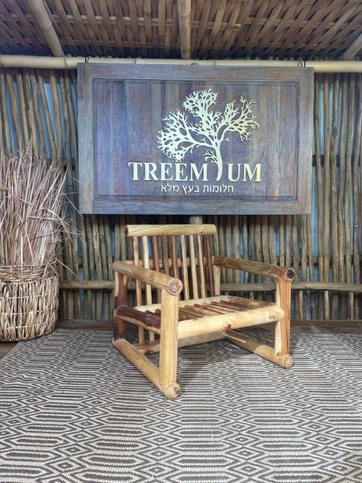 כורסא יחיד דגם סומטרה - Treemium - חלומות בעץ מלא