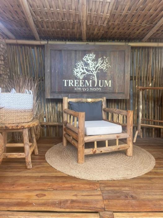 כורסא יחיד טיק צעיר דגם בננה - Treemium - חלומות בעץ מלא