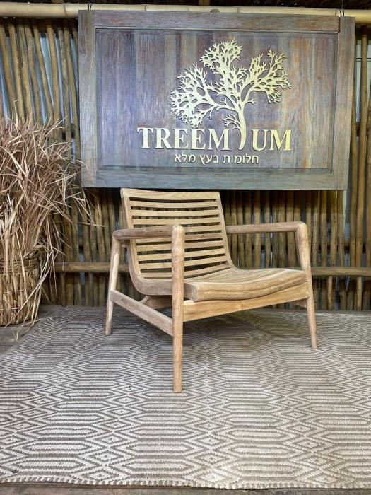 כורסא טיק יחיד דגם פפאיה - Treemium - חלומות בעץ מלא