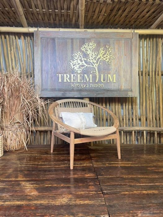 כורסא עץ טיק בשילוב חבל - Treemium - חלומות בעץ מלא