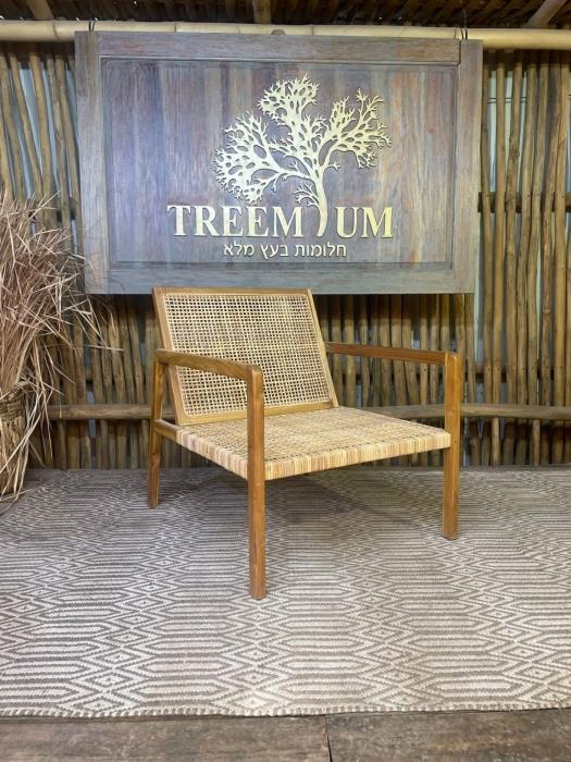 כורסא עץ טיק בשילוב ראטן - Treemium - חלומות בעץ מלא