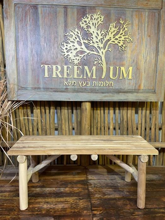 ספסל טיק צעיר - Treemium - חלומות בעץ מלא