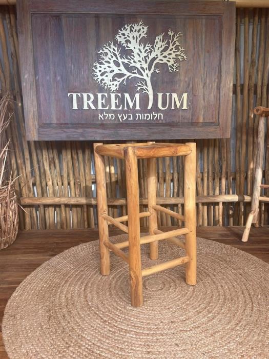 כיסא בר טיק צעיר דגם JBF 098 - Treemium - חלומות בעץ מלא