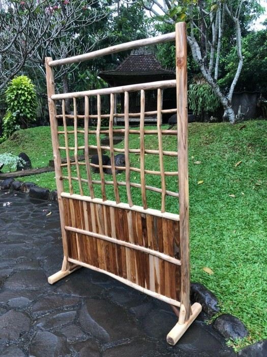 מחיצה טיק צעיר - Treemium - חלומות בעץ מלא