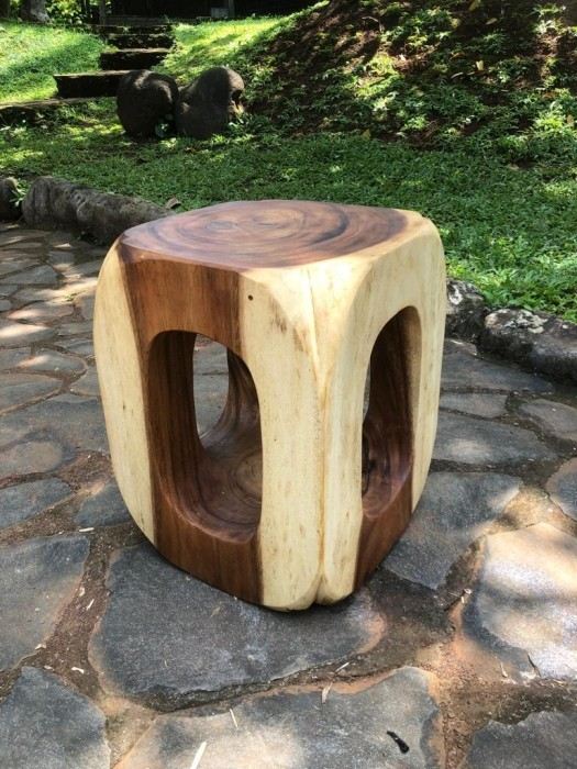 סטול גזע - Treemium - חלומות בעץ מלא