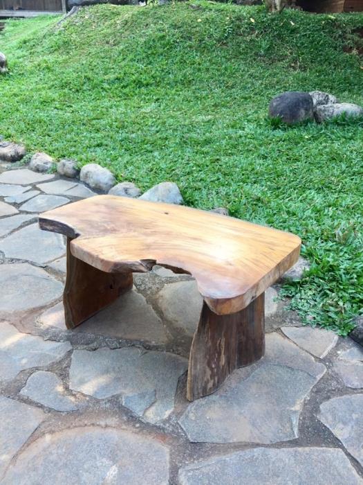 ספסל שורש טיק - Treemium - חלומות בעץ מלא