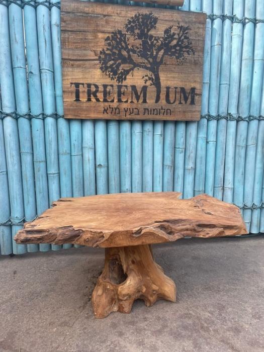 שולחן סלון משורש טיק - Treemium - חלומות בעץ מלא