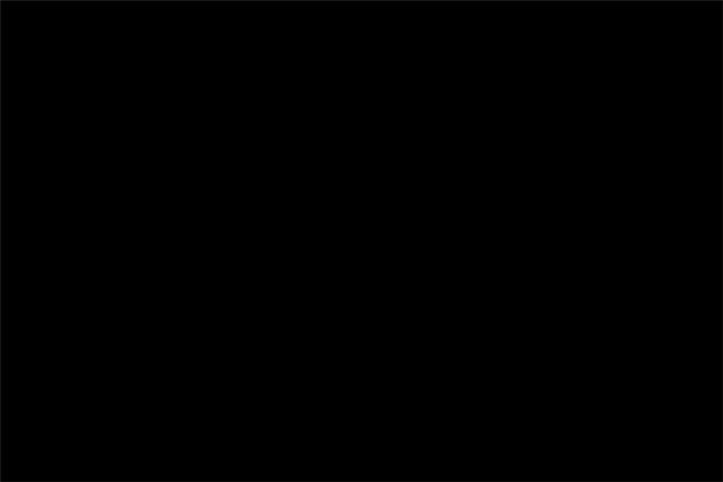 ספסל עץ טיק צעיר - Treemium - חלומות בעץ מלא