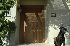 דלת כניסה - מיכל ביתן- עיצוב פנים