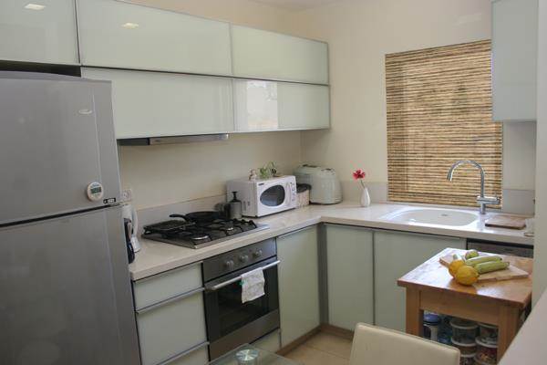 דירת דופלקס בת"א - מבט למטבח - מגורים לשגרירות יפן