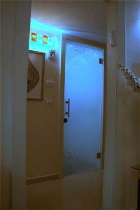 דלת חדר רחצה - איריס גוזמן
