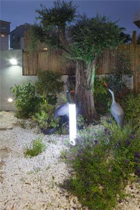 עיצוב גן בשילוב פסלים וגופי תאורה, של יוסי שאול YS-DESIGN