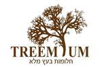 Treemium - חלומות בעץ מלא - לוגו