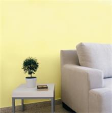 צבעים לקיר בצבע צהוב