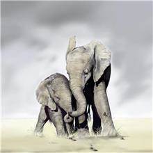 תמונה פילים בטבע