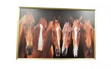 תמונה דגם סוסים מסגרת זהב