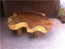 שולחן סלון גזע עץ