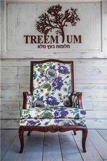 כורסא ייחודית עץ מלא מהגוני