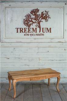 שולחן סלוני עץ מלא
