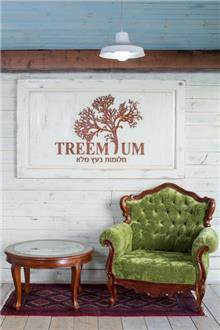 כורסא יוקרתית בירוק מבית Treemium - חלומות בעץ מלא
