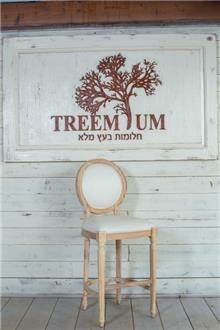 כסא עץ טבעי מבית Treemium - חלומות בעץ מלא
