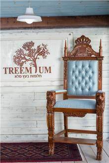 כסא אליהו הנביא מבית Treemium - חלומות בעץ מלא