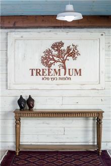 קונסולה עץ בהיר מבית Treemium - חלומות בעץ מלא