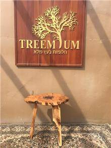 מעמד ברוש - Treemium - חלומות בעץ מלא