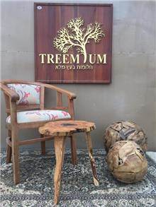 כיסא עץ מלא מבית Treemium - חלומות בעץ מלא